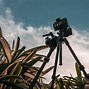 Image result for Photos Taken with Sony A7r IV