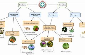 Image result for Drugs Used in Covid Diagram