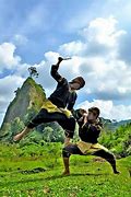 Image result for Silat Fight