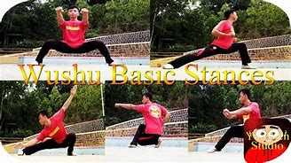 Image result for Wushu Stances