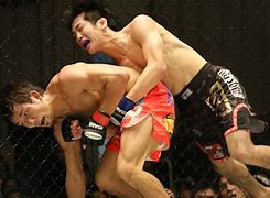 Image result for Sus MMA
