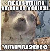 Image result for Dog Flashback Meme