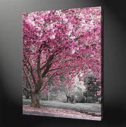 Image result for Cherry Blossom Canvas Wall Art