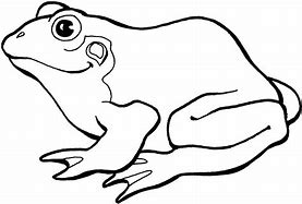 Image result for Frog Outline with a Long Tail