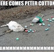 Image result for Hilarious Easter Memes