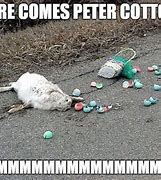 Image result for Hilarious Easter Memes