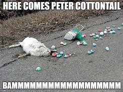 Image result for Easter Memes Funny Adult