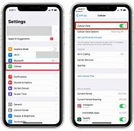 Image result for Turn On Data Roaming iPhone