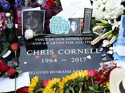 Image result for In Memory of Chris Cornell