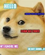 Image result for Ignore Haters Meme