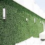 Image result for Real Touch Artificial Ivy