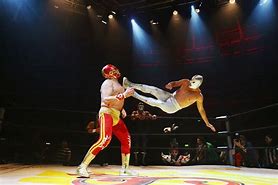 Image result for Mexican Wrestling Lucha Libre