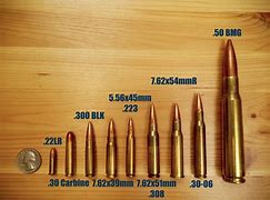 Image result for 50 Cal vs .223