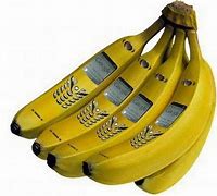 Image result for Craziest Inventions