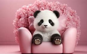 Image result for Panda Sitting