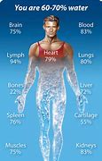 Image result for Human Body Water