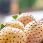 Image result for Colorful Strawberries