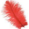Image result for Red Ostrich Feathers