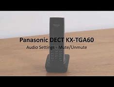 Image result for Panasonic Phone Mute