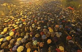 Image result for Hong Kong Umbrella