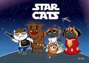 Image result for Star Cat Meme