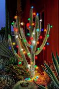 Image result for Outdoor Cactus Lights