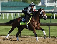 Image result for Kentucky Derby Traditions