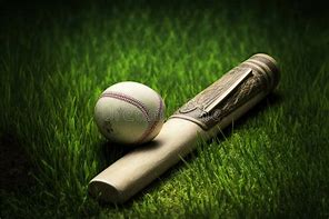 Image result for Cricket Bat and Ball Black and White