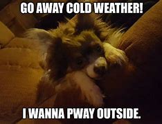 Image result for Cold Tuesday Meme