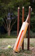 Image result for Cricket Bat Parts