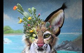 Image result for Cactus Cat Cryptid