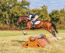 Image result for Cross Country Horse Jumps