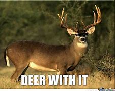 Image result for Deer Hunting Season Meme