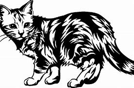 Image result for Cat Clip Art Black and White