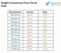 Image result for How Tall Is 12 Inches in Feet