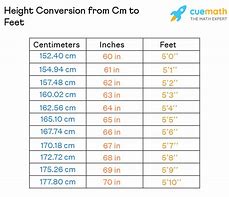 Image result for 149 Cm to Feet
