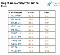 Image result for 50 Cm in Height