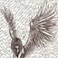 Image result for Beautiful Angel Wings Drawing
