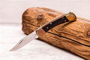 Image result for Hunting Pocket Knife