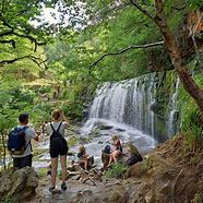 Image result for Four Falls Trail Bike-Friendly