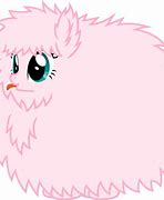 Image result for Fluffy Unicorn Meme