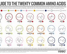 Image result for acid�m3tro