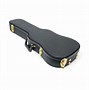 Image result for Violin Gun Case