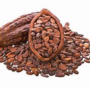 Image result for Cocoa PNG