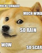 Image result for Make It Rain Doge Meme