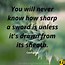 Image result for Sharp Is the Mind Quotes