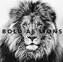 Image result for Black and White Lion Canvas Drawing