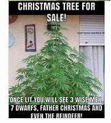 Image result for Weed Tree Meme