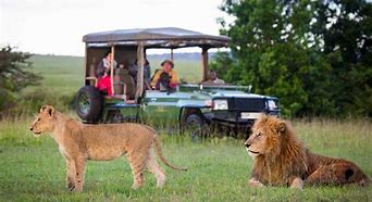 Image result for Kenya Safari Parks