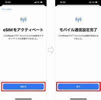 Image result for iPhone Esim Setup